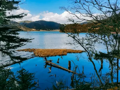 WagonBet Casino Mobiele App